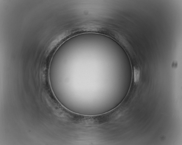 X0000111390675200907171246