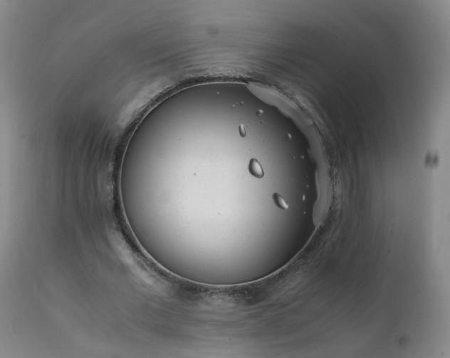 X0000111390677200907171246