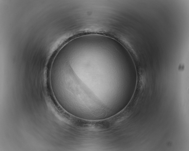 X0000111390678200907171246