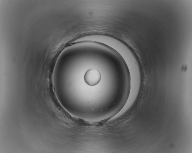 X0000111390681200907171246