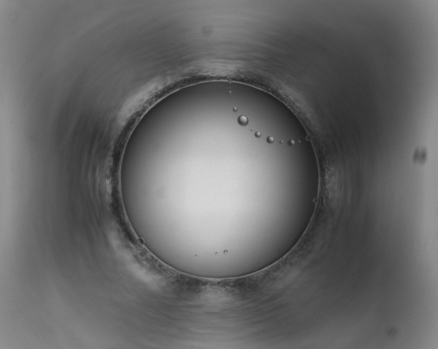 X0000111390682200907171246