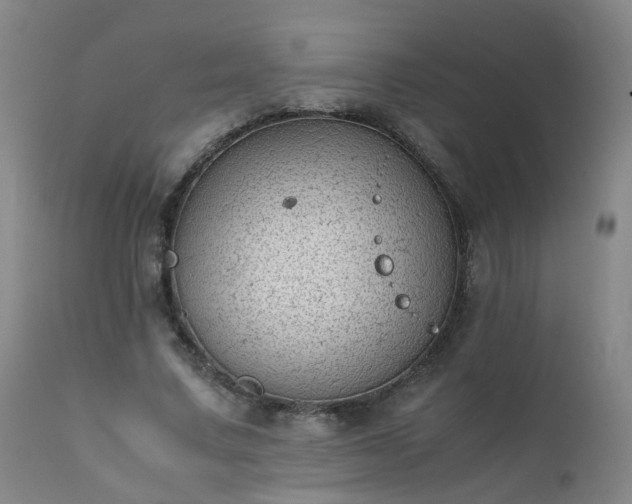 X0000111390683200907171246