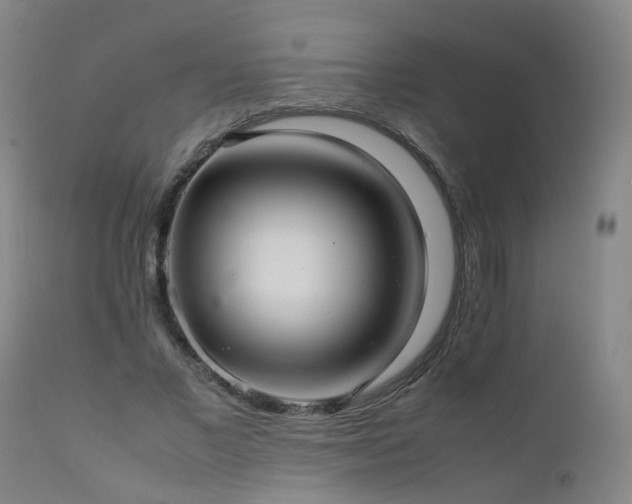 X0000111390685200907171246