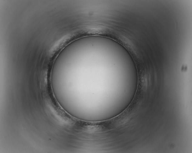 X0000111390686200907171246