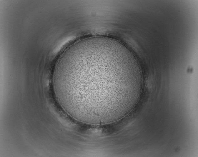 X0000111390687200907171246