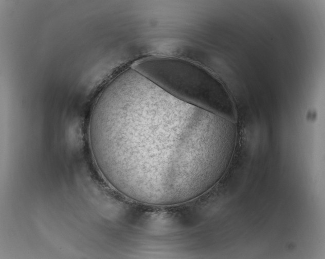 X0000111390688200907171246