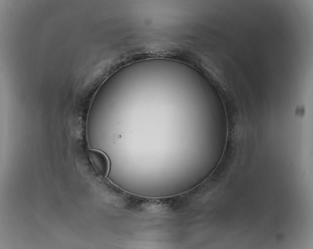 X0000111390689200907171246