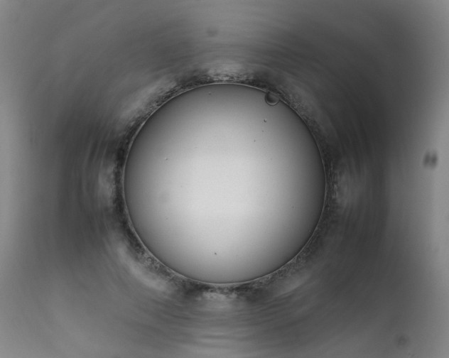 X0000111390690200907171246