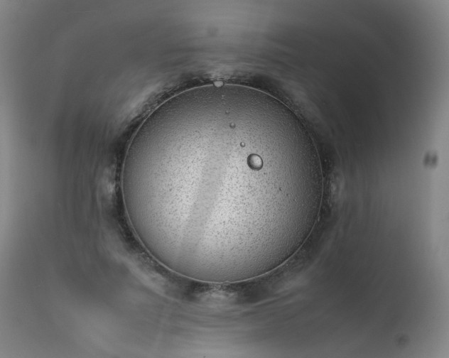 X0000111390691200907171246