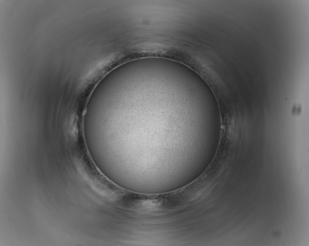 X0000111390692200907171246