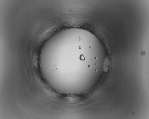 X0000111390693200907171246