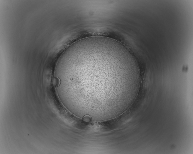 X0000111390695200907171246