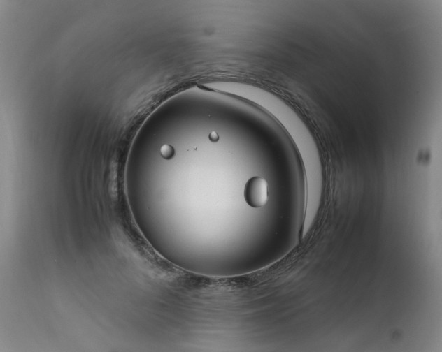 X0000111390696200907171246