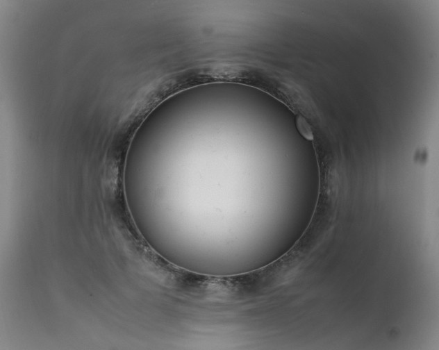 X0000111390697200907171246