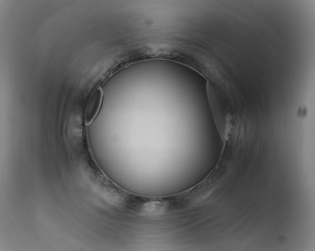 X0000111390700200907171246