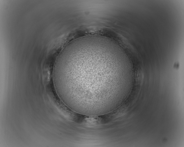 X0000111390703200907171246