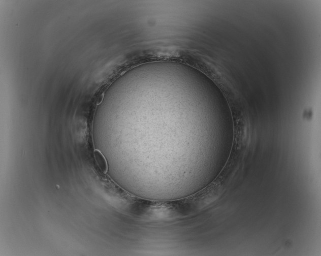 X0000111390704200907171246