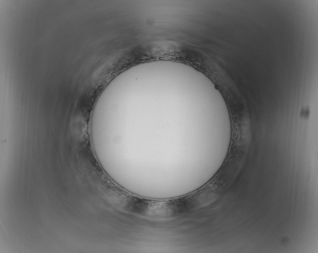 X0000111390705200907171246