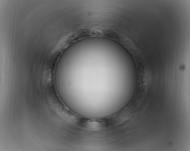 X0000111390706200907171246