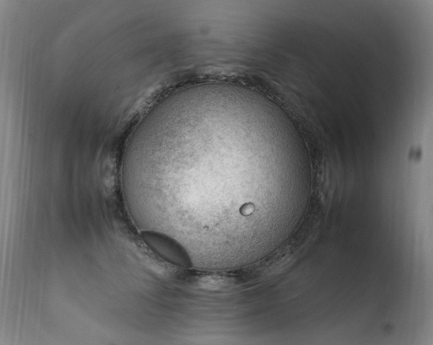 X0000111390708200907171246