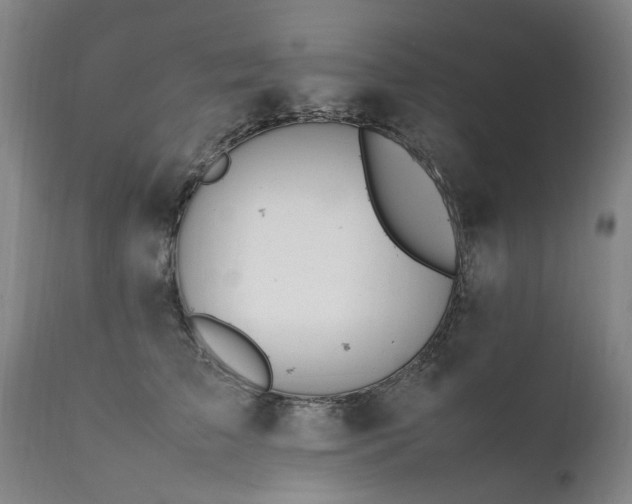 X0000111390709200907171246