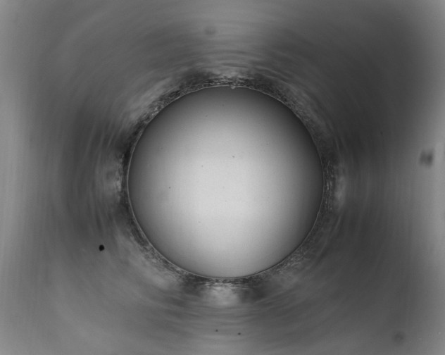 X0000111390710200907171246