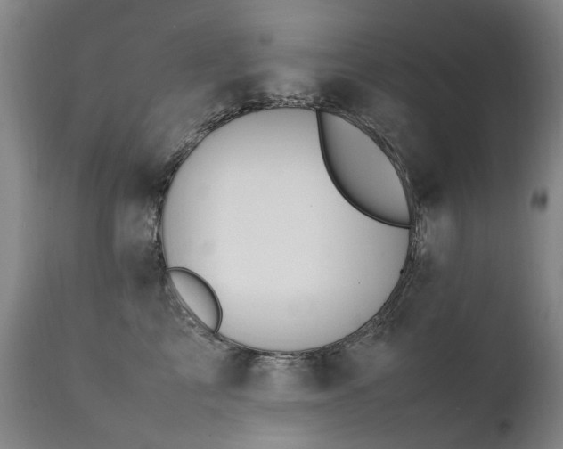 X0000111390713200907171246