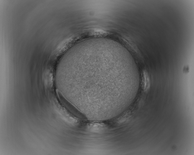 X0000111390716200907171246