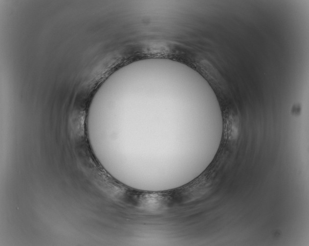 X0000111390717200907171246