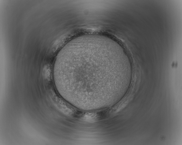 X0000111390720200907171245