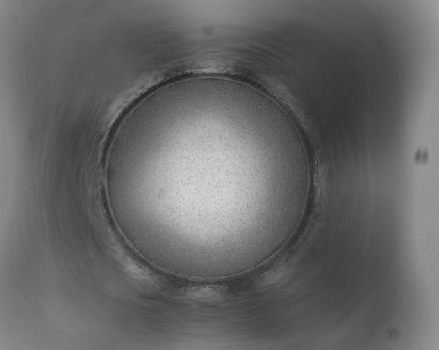 X0000111390721200907171245