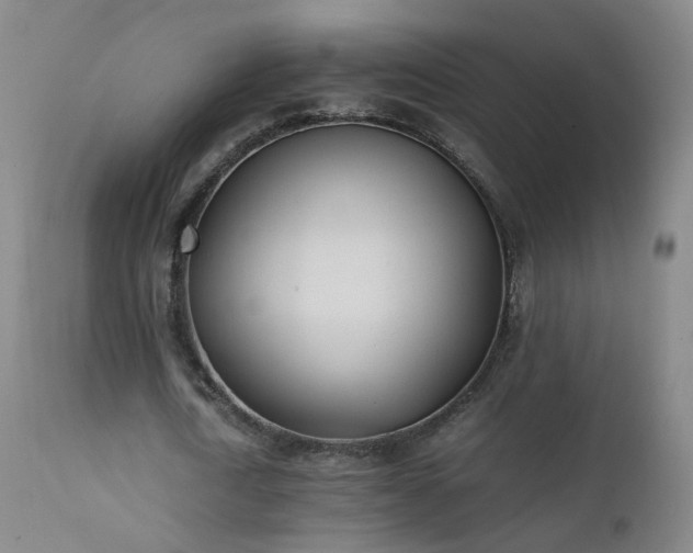 X0000111390722200907171245