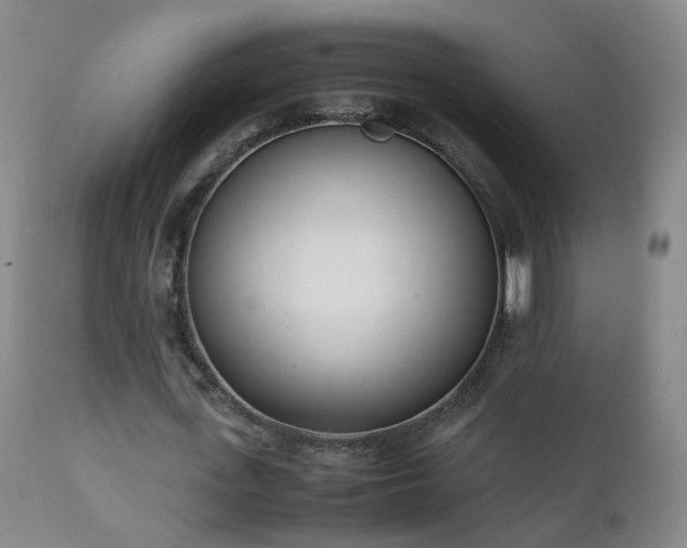 X0000111390723200907171245