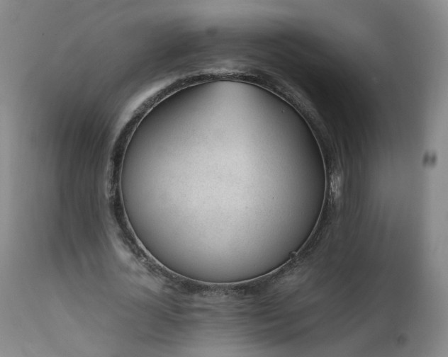 X0000111390724200907171245