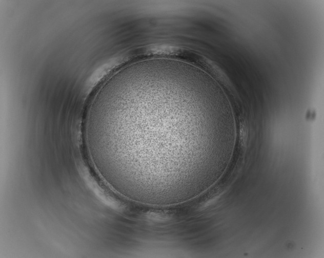 X0000111390725200907171245