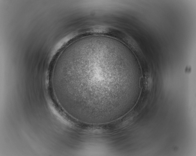 X0000111390726200907171245