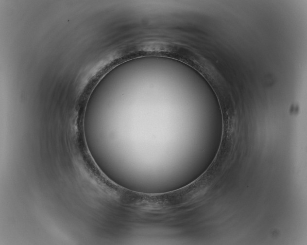 X0000111390727200907171245