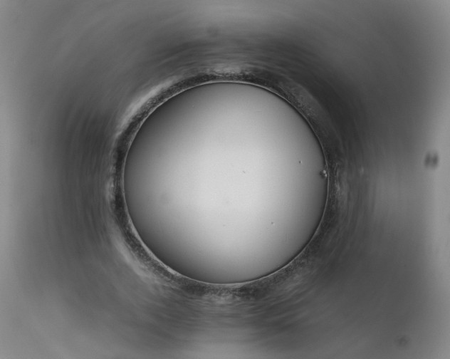 X0000111390728200907171245