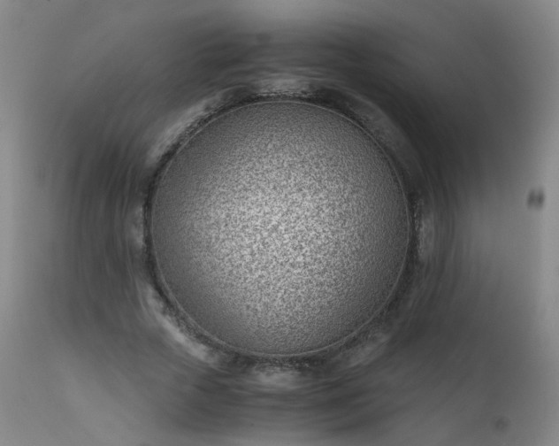 X0000111390729200907171245