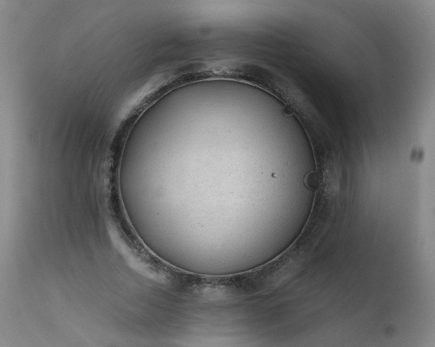 X0000111390730200907171245