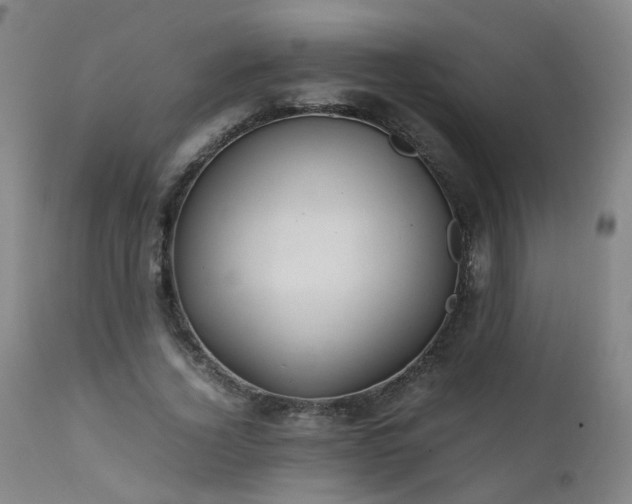 X0000111390732200907171245