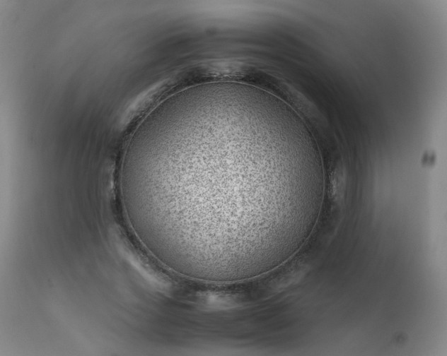 X0000111390733200907171245