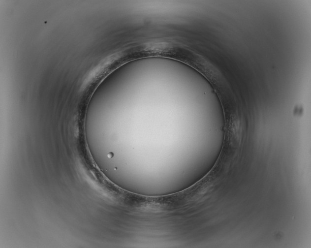 X0000111390734200907171245