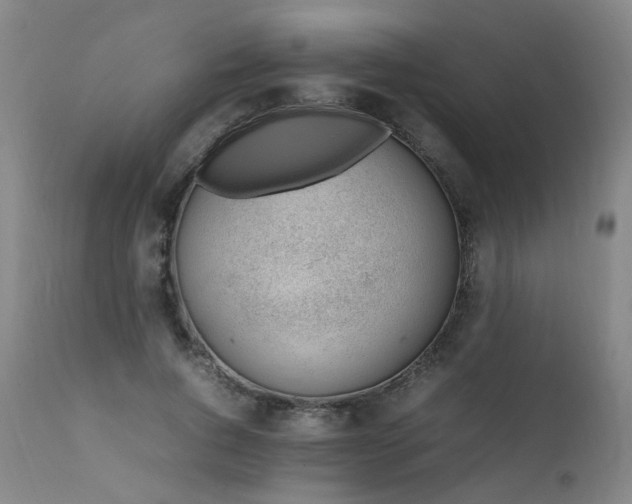 X0000111390736200907171245