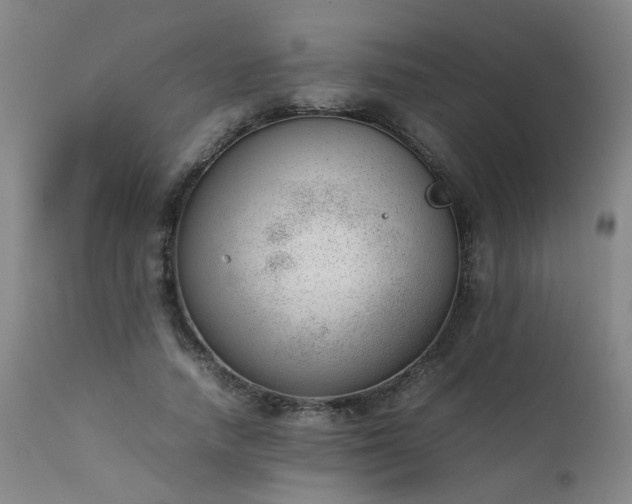 X0000111390738200907171245