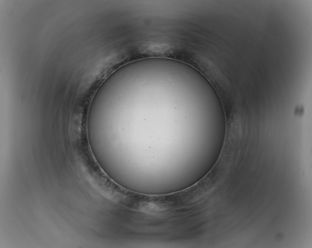 X0000111390739200907171245