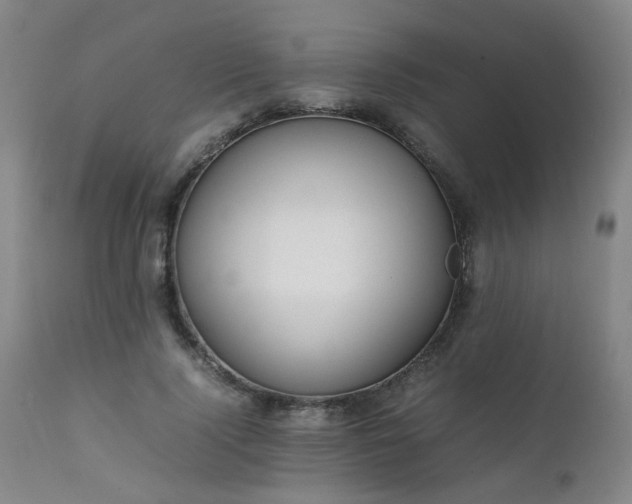 X0000111390740200907171245