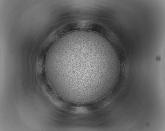 X0000111390741200907171245