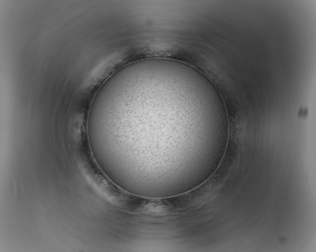 X0000111390742200907171245