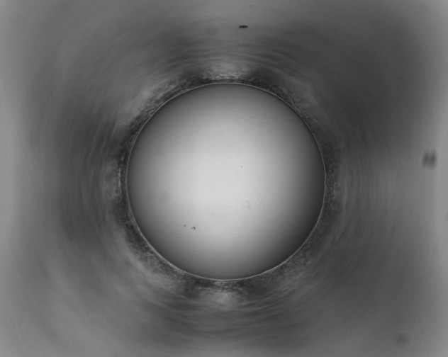 X0000111390743200907171245